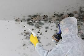 Summerville, SC Mold Inspection Company